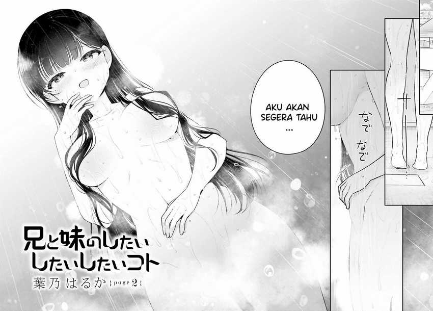 Ani to Imouto no Shitai Shitai Shitai Koto - Chapter 2 3